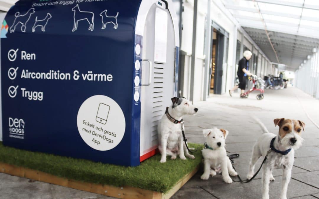 Först i Kalmar med hundparkering