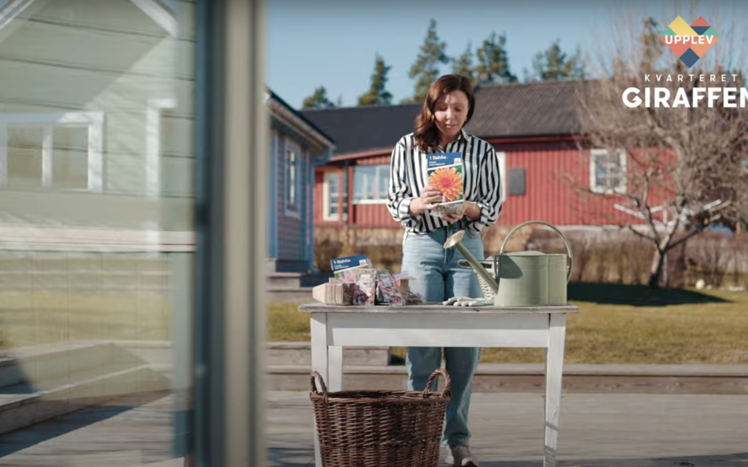 Vlogg Upplev Kvarteret Giraffen – Dahliatips
